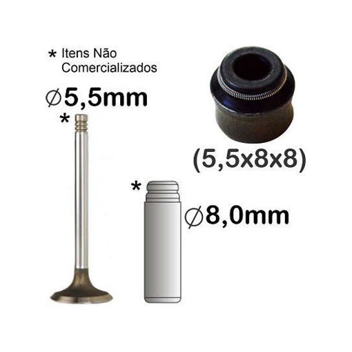 Imagem de RETENTOR VALVULA PEUGEOT RENAULT CLIO 1.0 16V - COMUM