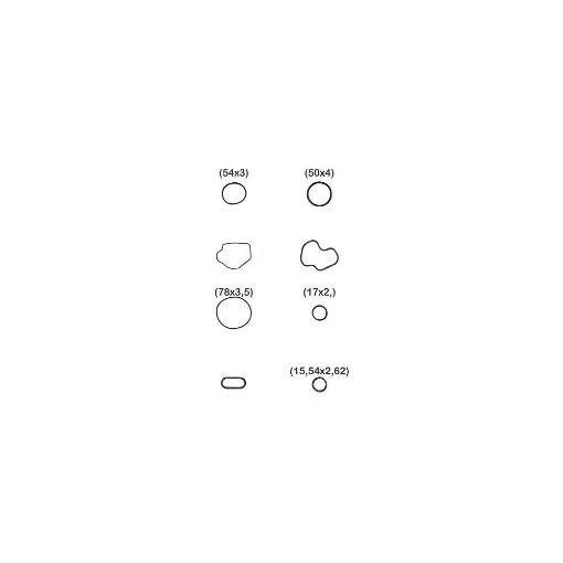 Imagem de KIT BORRACHA GM VECTRA ASTRA S10 2.0 2.2 16V