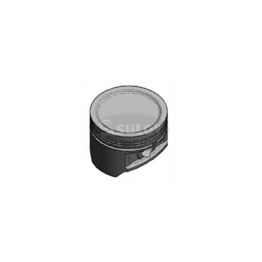Imagem de PISTAO S10 2.4 8V FLEX - 100
