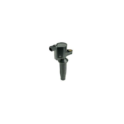 Imagem de BOBINA IGNICAO FORD ECOSPORT 2.0 16V DURATEC FLEX 03/16