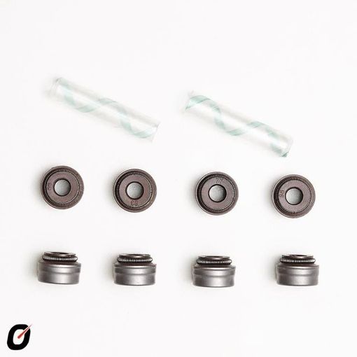 Imagem de RETENTOR VALVULA PEUGEOT RENAULT CLIO 1.0 16V - COMUM