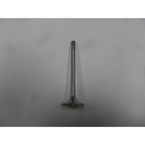 Imagem de VALVULA ESC GM VECTRA 2.0 2.2 16V 97/
