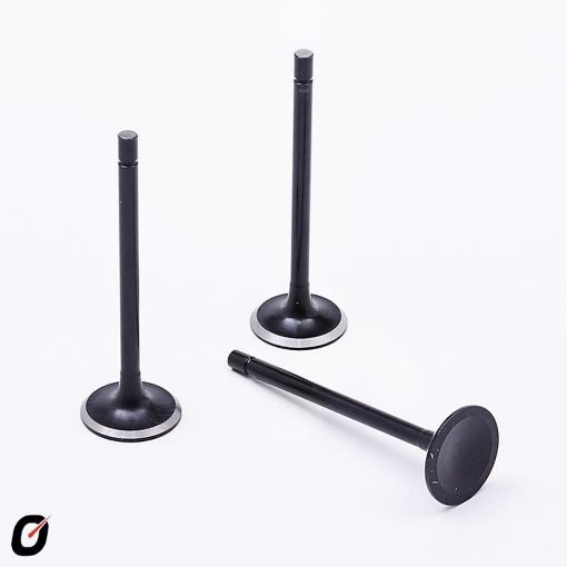 Imagem de VALVULA ESCAPE GM OMEGA CAPTIVA 3.6