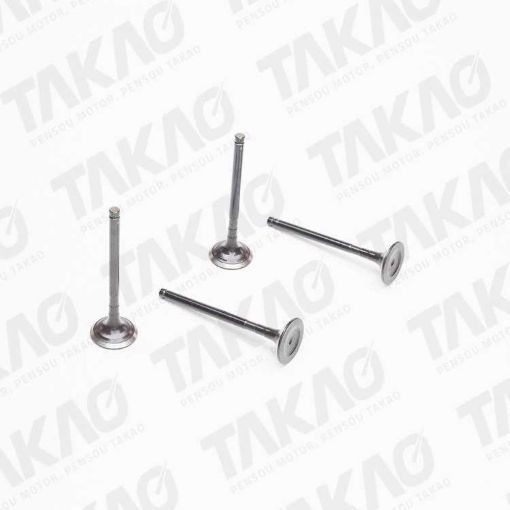 Imagem de VALVULA ESC LAND ROVER 2.5L 24V V6 DOHC 25K4F GAS 00-06 FREE